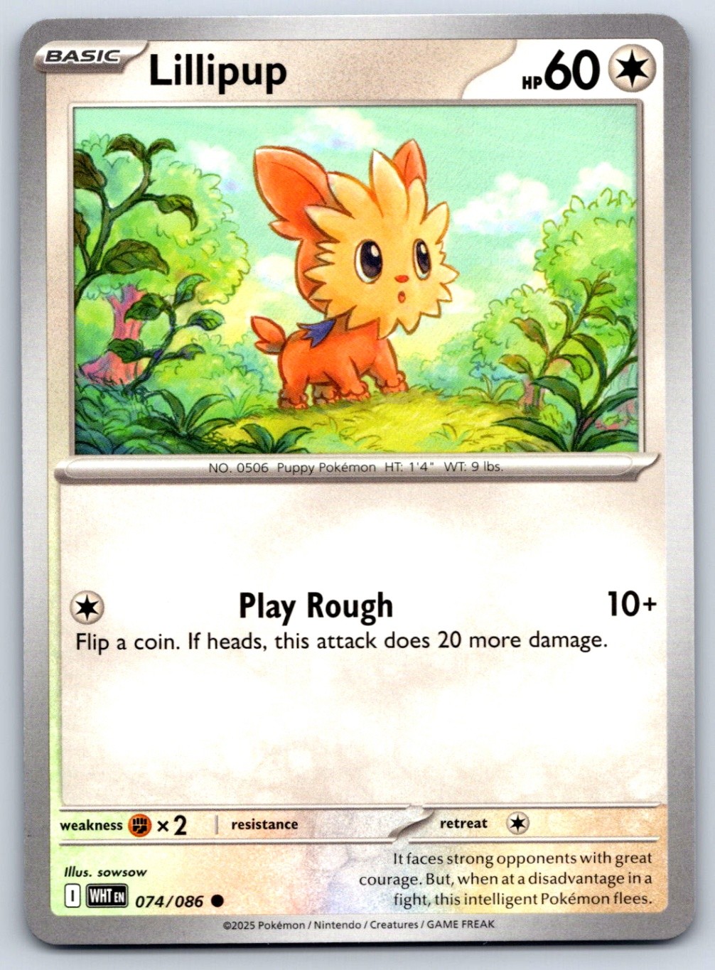 Lillipup - SV: White Flare 074/086 Pokemon Card NM