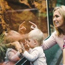 3 giorni Dresda per famiglie | breve vacanza + ingresso zoo 3* hotel incl. colazione