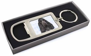 cocker spaniel keyring