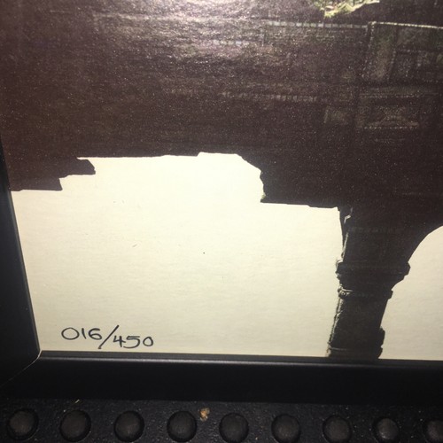 The Last Guardian Rare Press Kit Numbered Screen Print Framed - 第 8/10 張圖片