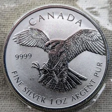 2016 Canada 1 oz. Silver Falcon : Reverse Proof, RCM Seal - Only 100k Minted