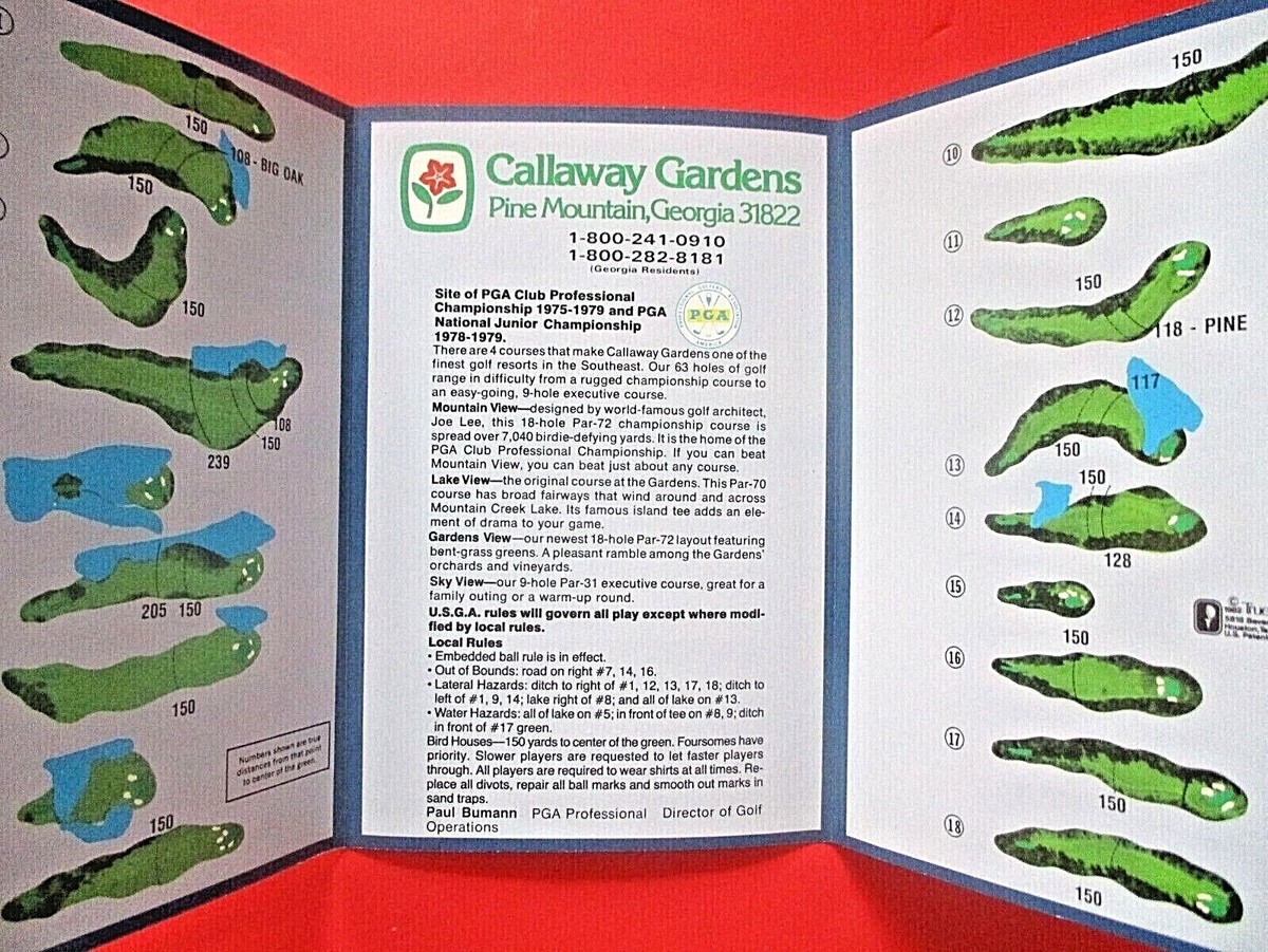 モレリアII JAPAN 24.5cm gooldgolfrockersXLサイズ gooldgolfrockersXLサイズ goold golf