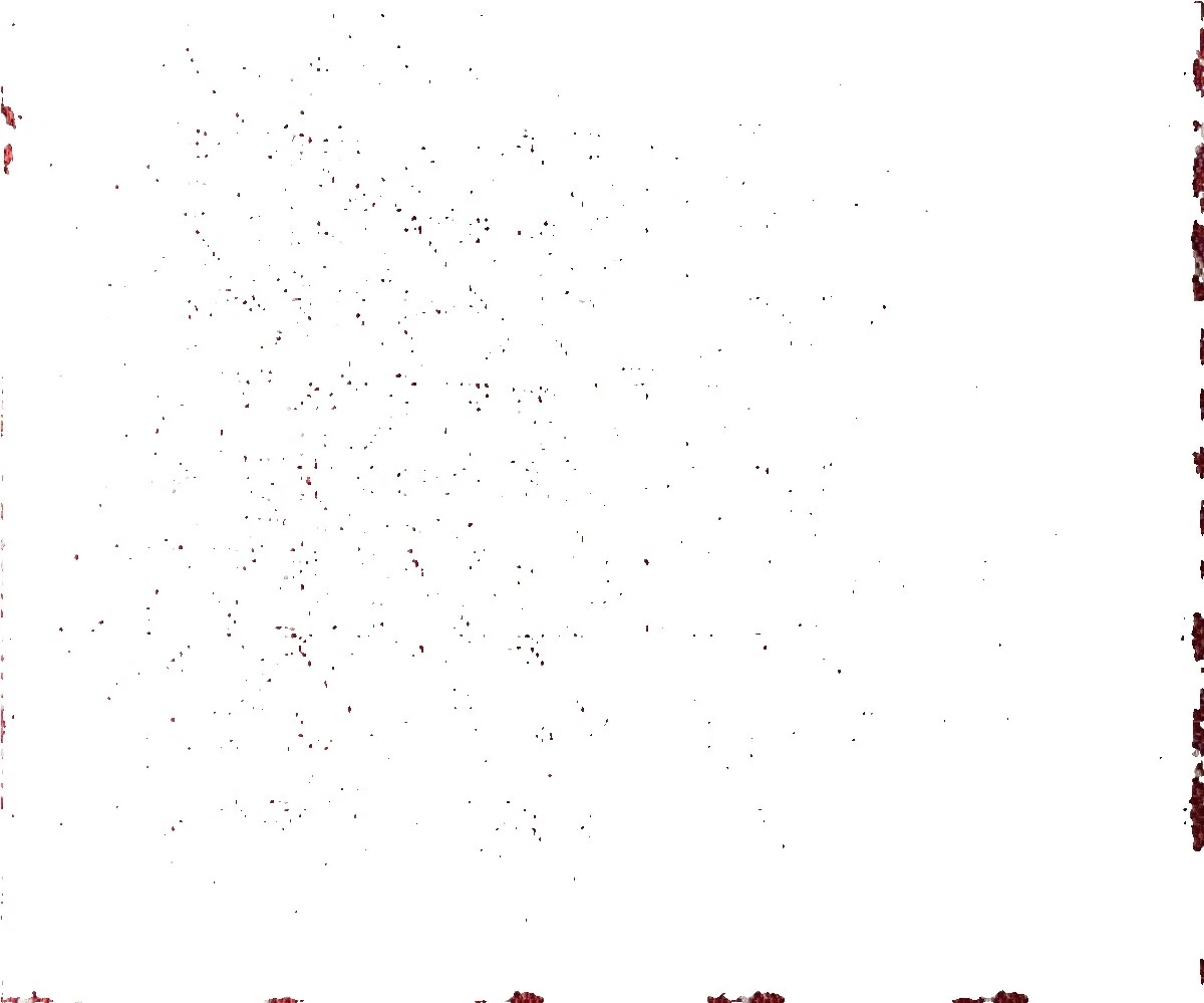 Géneros artesanales de Rayón Home & Garden