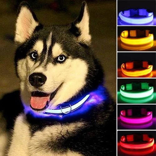 Hundehalsband Leuchthalsband Hund LED USB Aufladbar Akku Halsband Gr. S M L XL ' - Bild 4 von 4