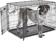 36-Inch Two-Door iCrate Folding Dog Crate with Divider Panel, Leak-Proof Tray
