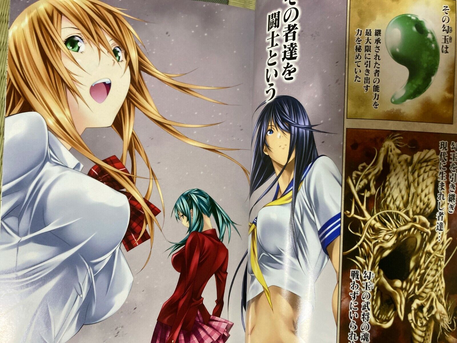 Shin Ikki Tousen TV Anime Reveals 4 More Ecchi Battle Vixen's