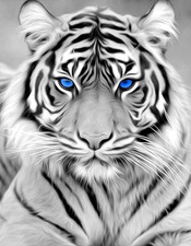 Diamond Art Kits for Adults, White Tiger Diamond Art Full 5D Diamond Art Kits Ti