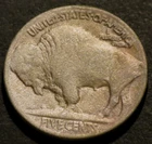 1917 D Buffalo Nickel Semi-Key Date Horn Details Holo-Restored Five 5c Coin D117