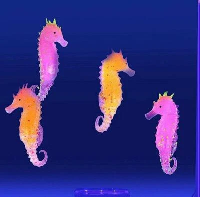 Replacement Seahorse Pack for Lightahead LED Fantasy Seahorse or Jellyfish Lamp