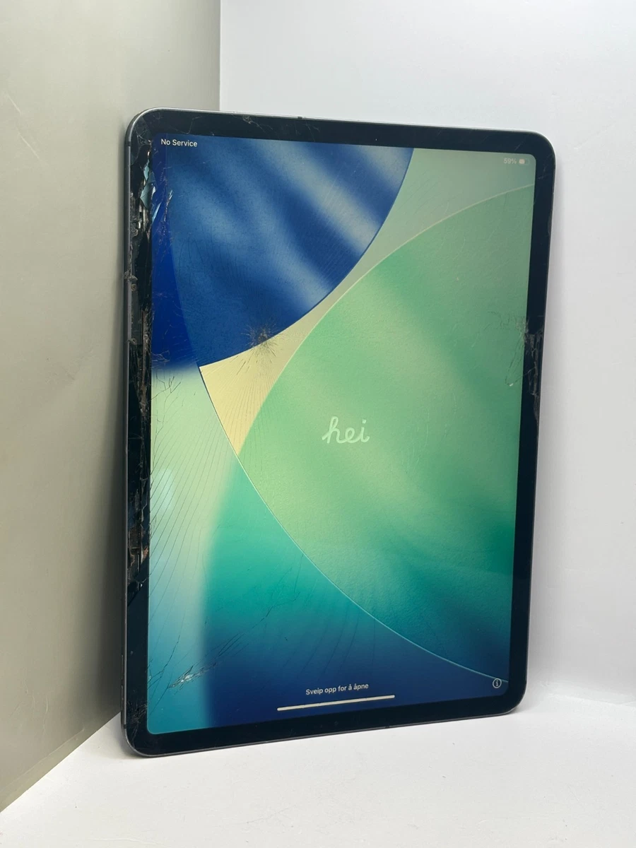 Apple iPad Pro (1st Generation) Wi-Fi Unlocked 256 GB Tablets