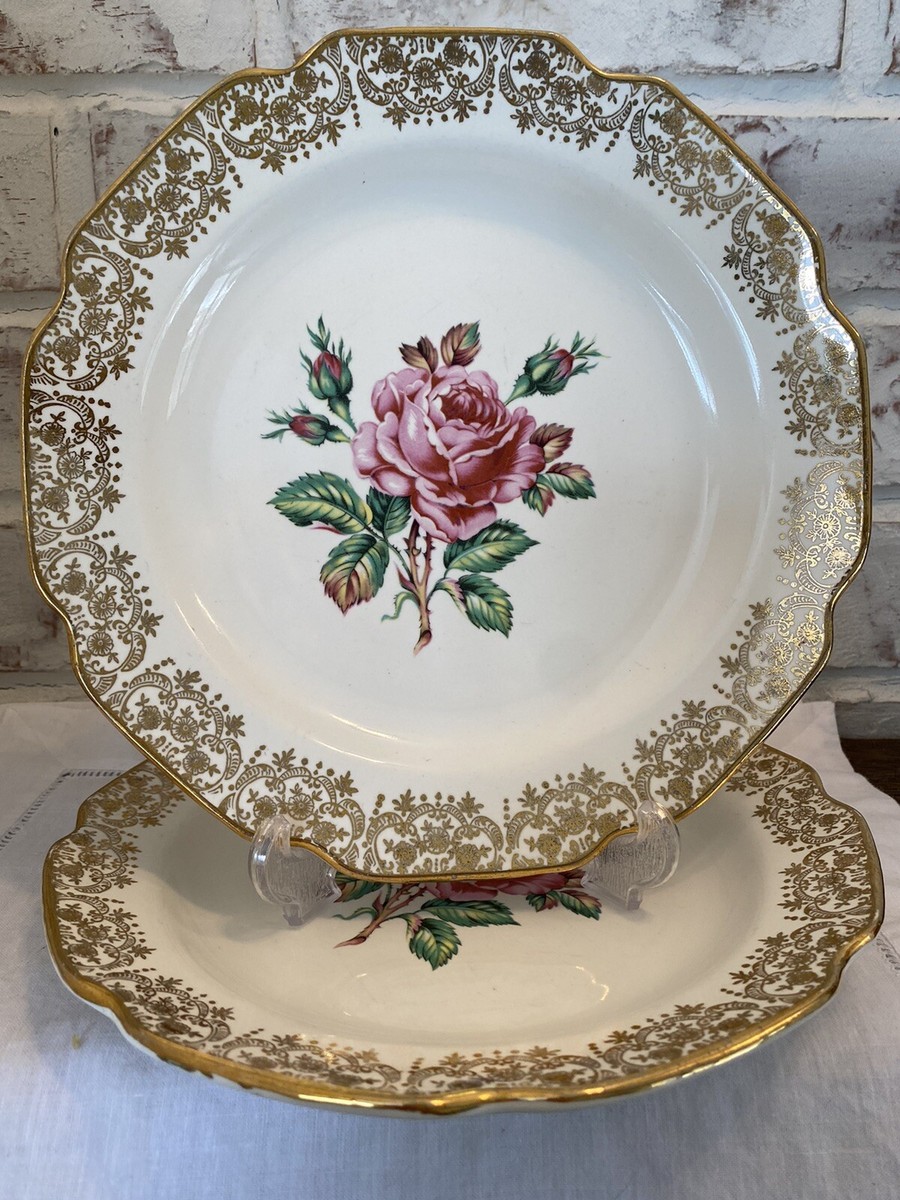 Briar Rose Georgian China Dinner Plates Two