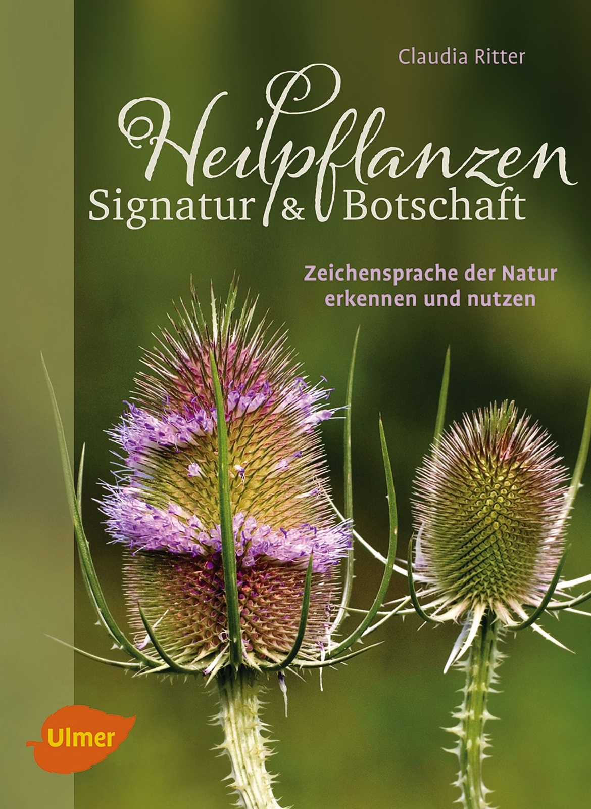 Thumbnail - Claudia Ritter / Heilpflanzen. Signatur Und Botschaft