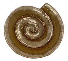 Ceramic Trinket Dish/Plate-Beige Earth Tone Swirl/Shell/Beach Pattern 5.5 Inches