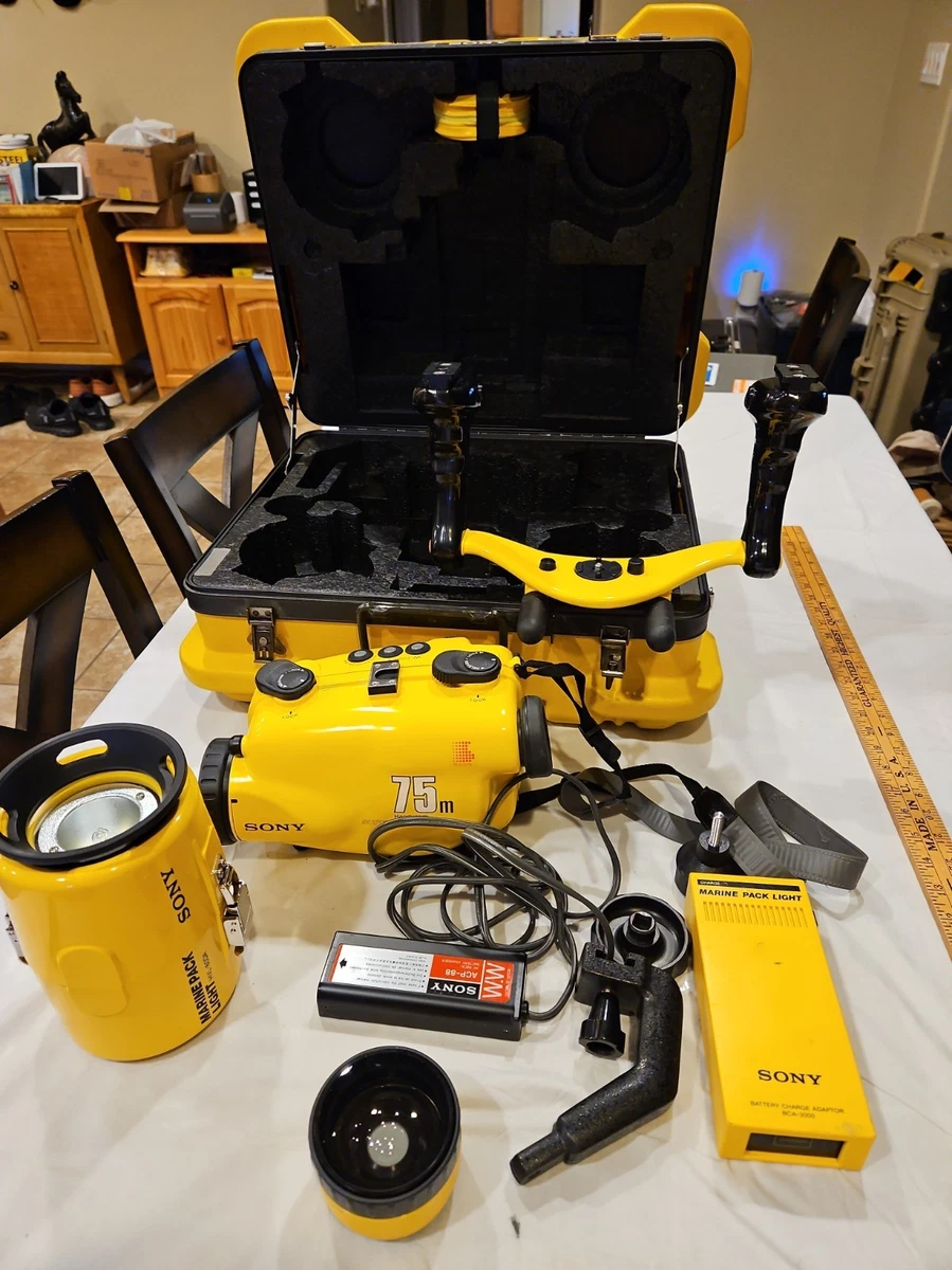 Underwater Cases & Housings for Sony Camcorder for sale | eBay