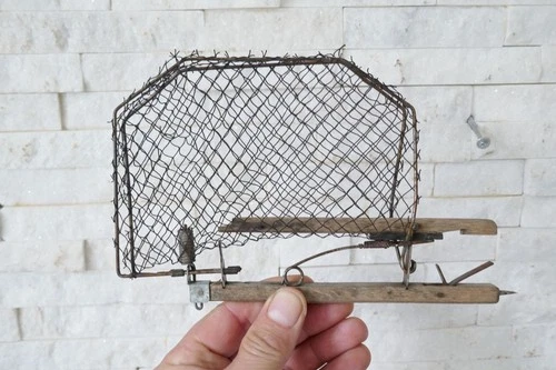 ~~~ Antique Old Bird Trap Net Trap Snap Trap 19/20 Cen. Alpine~~~
