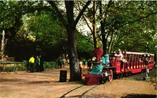 Forest Park Zoo Line Railroad Train Tour Scene Children St. Louis MO Postcard