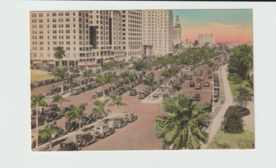 1930's Downtown Scene~Miami FL~Biscayne Blvd~Old Postcard