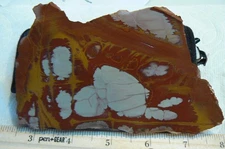 Port Hedland Picture Jasper Slab 7 &3/4 oz