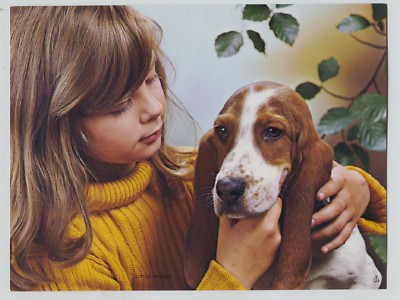 Vintage 1960's-70's Print Adorable Basset Hound dog Girl Titled