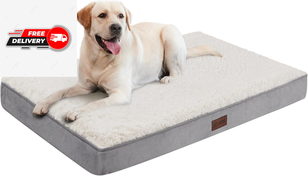 Large Orthopedic Dog Beds for Medium, Large and Extra Large Dogs A