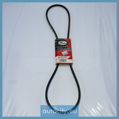 GATES 6238ESC Cinghia Trapezoidale Dentata Nera – Compatibile Con Chevrolet Cavalier E Chrysler Le Baron, Codice OE Multiplo