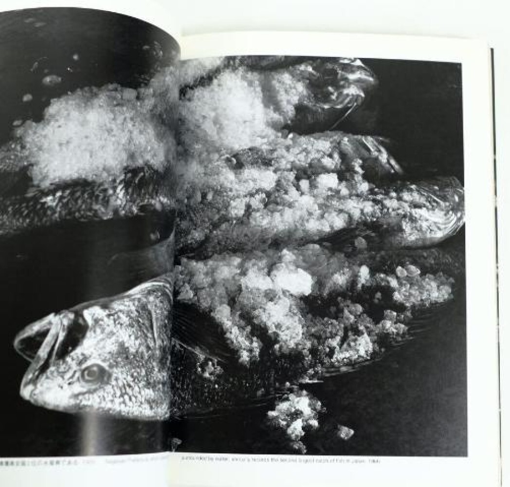 【東松証明：shiomei Tomatsu 】写真集　新品未開封品 Shomei Tomatsu: Oh! Shinjukuおお！新宿 東松照明 - 古本買取 2