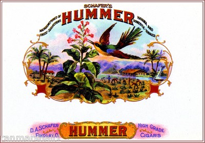 Hummer Hummingbird Bird Smoke Vintage Cigar Box Crate Inner Label Art Print