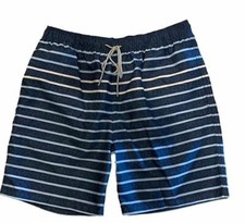 Kirkland Signature Men's Elastic Waistband Swim Short Blue Varsity Stripe, L 