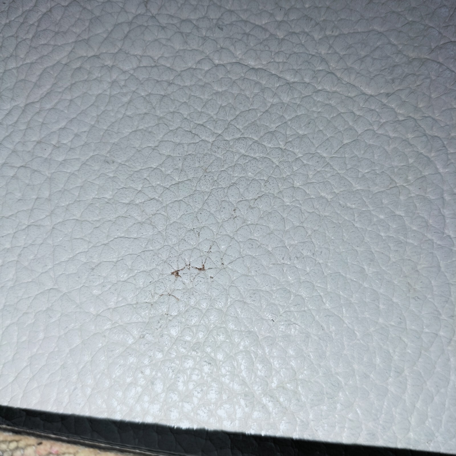Picture 24 of 24