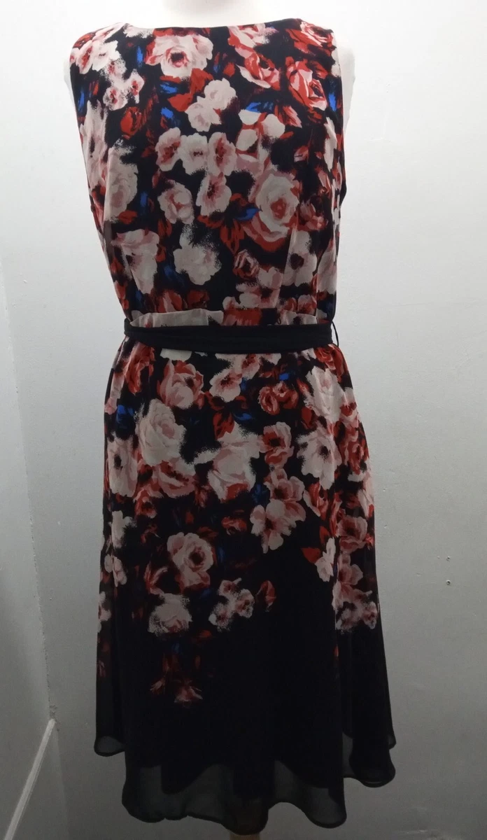 Petite at debenhams top
