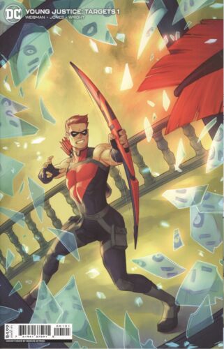 YOUNG JUSTICE TARGETS #1 COVER B MEGHAN HETRICK CARD STOCK VARIANT VF/NM DC HOHC - Picture 1 of 1