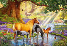 Wild Horse paradise Mare Foal Stream forest garden ceramic tile mural backsplash
