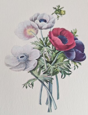Lot Of 5 VTG Floral Botanical Postcards By Artist Pierre-Joseph Redouté