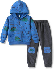 Toddler Baby Boy Clothing Sets Little Dinosaur Print Hoodie  Pants Kids Boys 2P