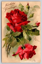 Catherine Klein Birthday~Deep Red Roses w/Buds~Thorns~Emb~c1910 Vintage Postcard