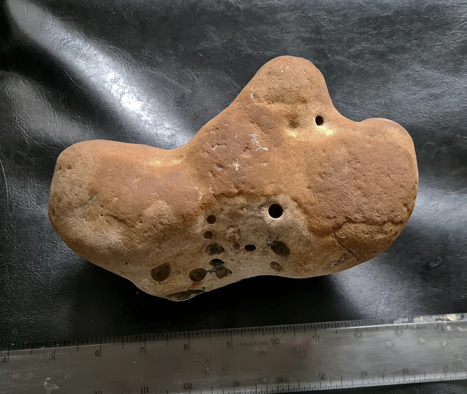 Genuine Ornithopod Three-Digit Iguanodon Dinosaur HAND cast Natural Ichno Fossil - Image 2 of 4