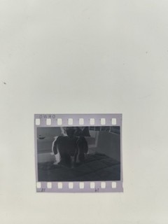 5 Negative Nude Nude Woman Lady Photography Photo Picture Original