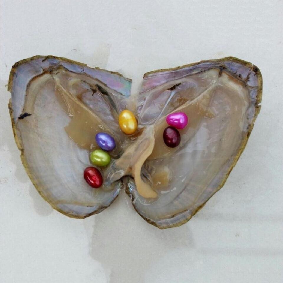 10PCS 7-8mm Real Pearl Freshwater Pearl Natural Akoya Pearl