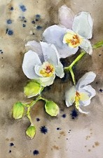 Quadro acquerello originale dipinto a mano orchidee bianche fiori watercolor flowers