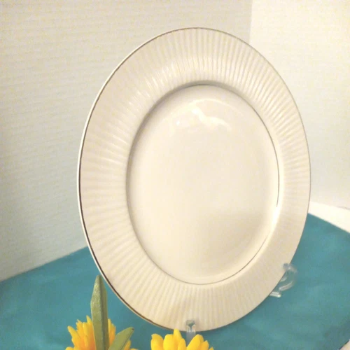 Gibson Porcelain White Dinner Plate Double Silver Rim 10" Preown!