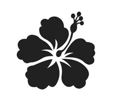 Hibiscus Flower 2 STENCIL for Signs Fabric Canvas Walls Furniture Hawaiian