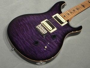 Paul Reed Smith Prs Se Custom24 Roasted Maple Limited Pn Purple Burst Ebay Paul Reed Smith Prs Se Custom24 Roasted Maple Limited Pn Purple Burst Ebay