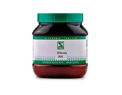 Willmar Schwabe India Silicea 30X (550g)