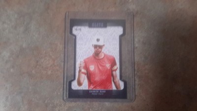 2025 Brixton DGPT Elite DIe-cut /25 Pick Your Player