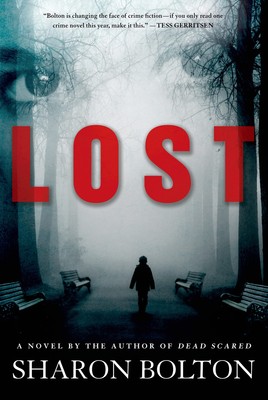 Lost: A Lacey Flint Novel (Lacey Flint Novels, 3)