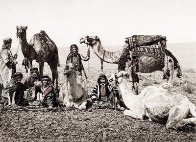 Egypt Camel Train Halt Desert Drivers Caravan Nomads Vtg. Photo 19thC.