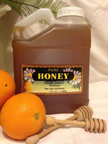 2 Gallons RAW Orange Blossom Honey Pure Natural.non-filtered,Fresh Sweetener - Picture 1 of 5