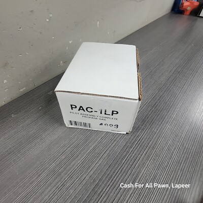 Real Fyre PAC-1LP Pilot Assembly without Electrode Liquid Propane Gas ...