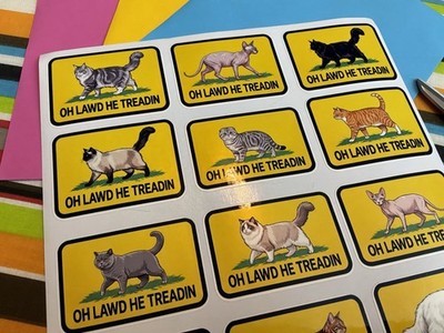 14 Pre-cut Don t Tread On Me   Cats Treadin, Oh Lawd Constitution Cat Decals  