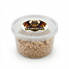 TC INSECTS Live Wax Worms Feeder Insects for Reptiles Amphibians Birds More